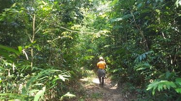 Hiking in the jungle in the Cardamom Mountains
